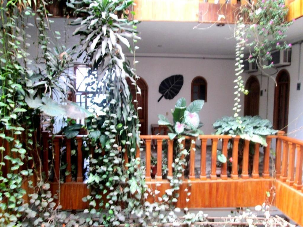 Hotel Guzman 希利特拉 外观 照片